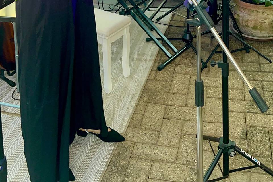 Musica live