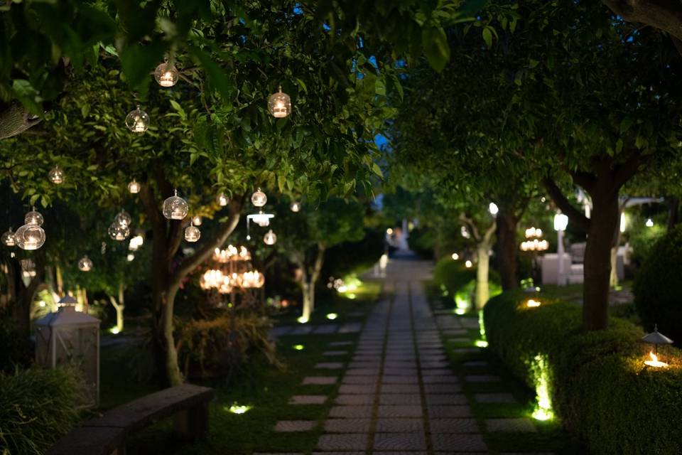 Parco di sera