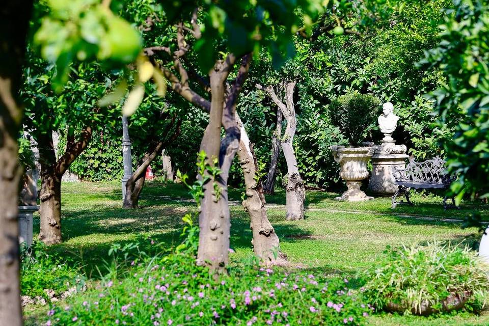 Parco