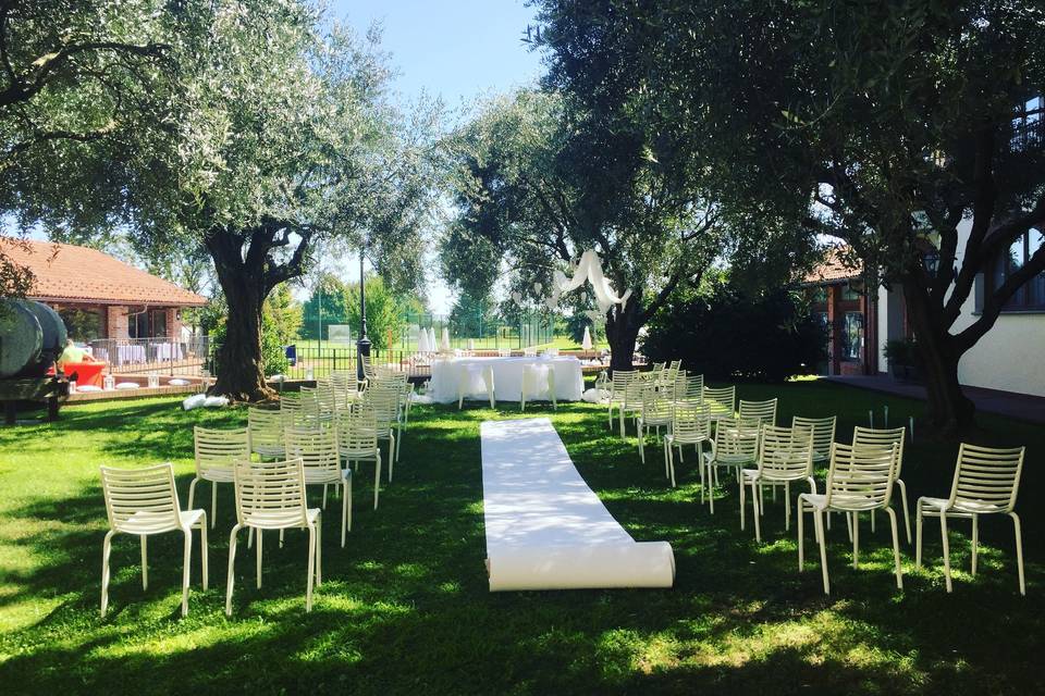 Il giardino degli ulivi