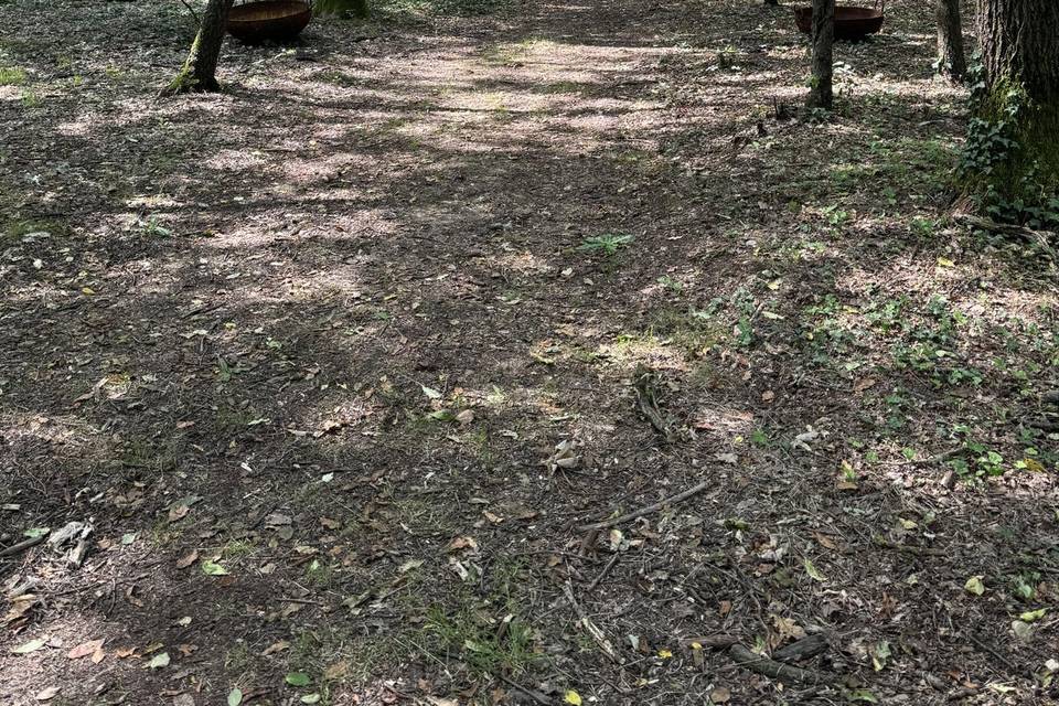 Matrimonio nel bosco