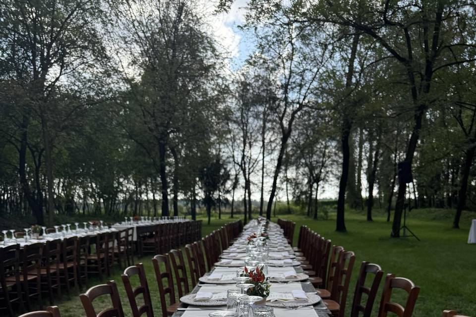 Matrimonio nel bosco