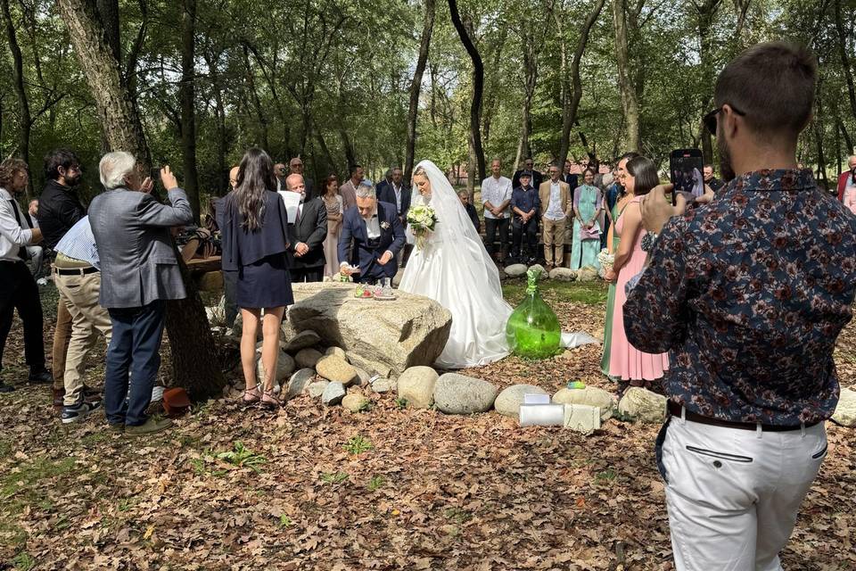Matrimonio nel bosco