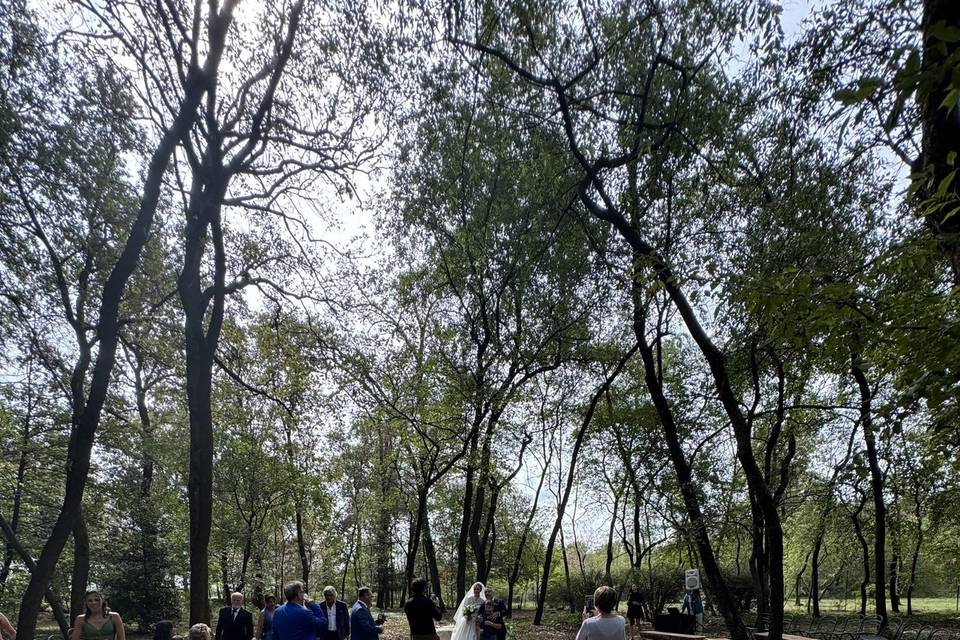 Matrimonio nel bosco