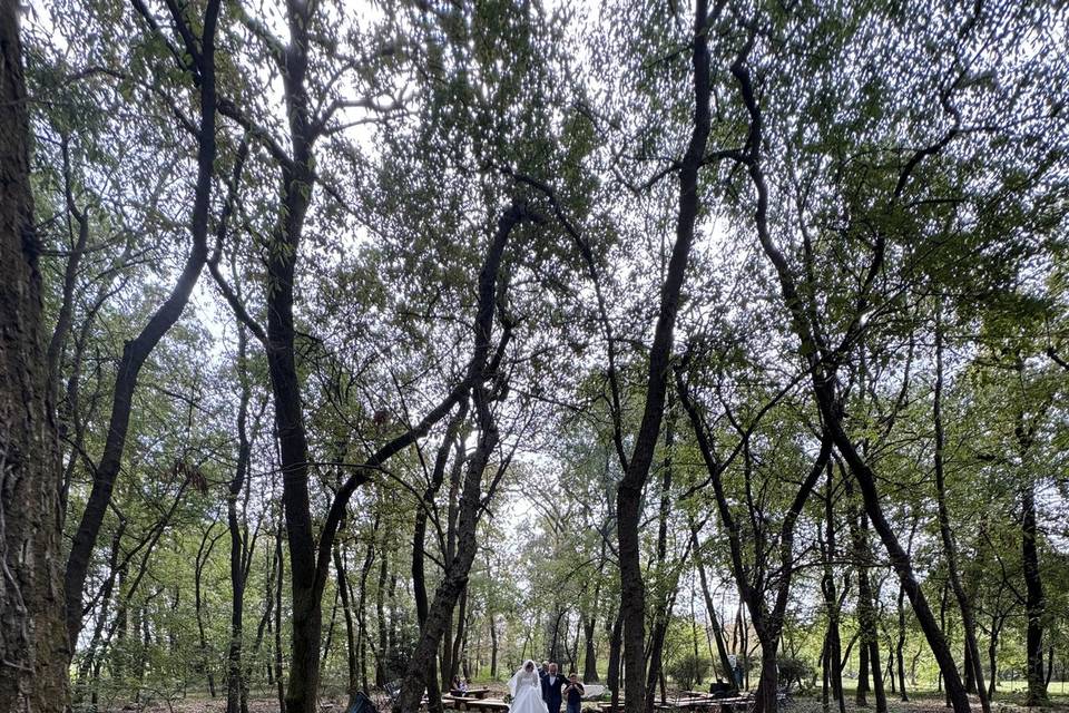 Matrimonio nel bosco