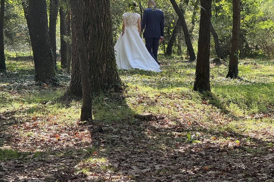 Matrimonio nel bosco