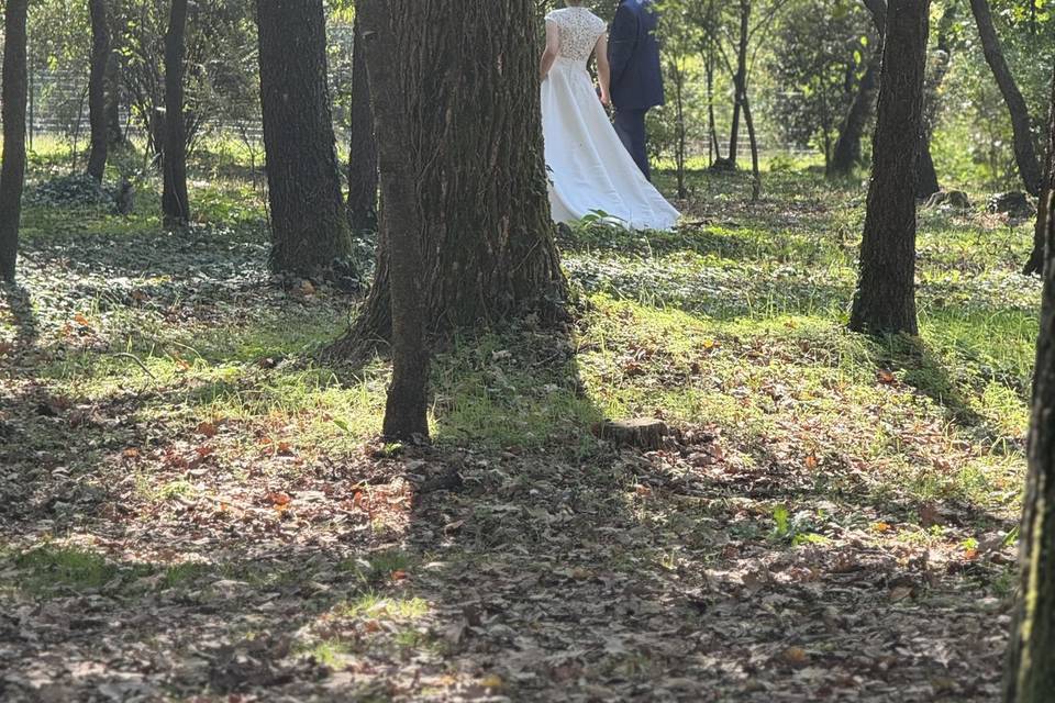 Matrimonio nel bosco