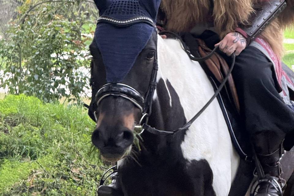 Sposo a cavallo