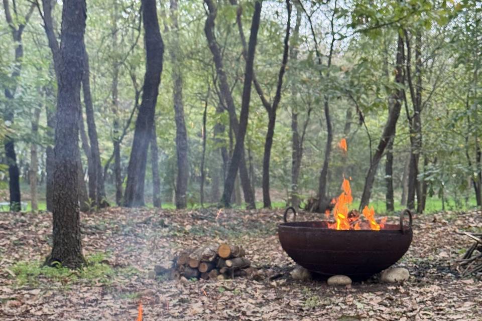 Bracieri nel bosco