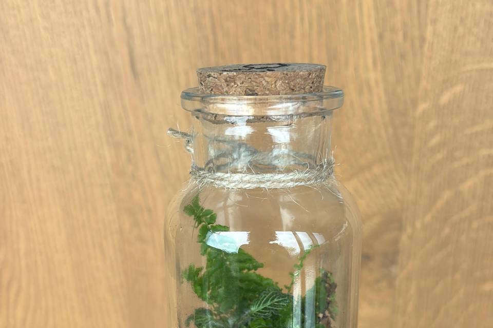 Terrarium bomboniera