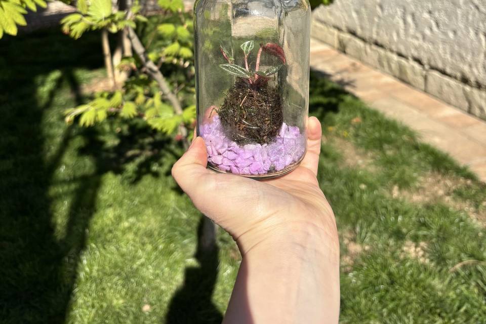 Koke terrarium
