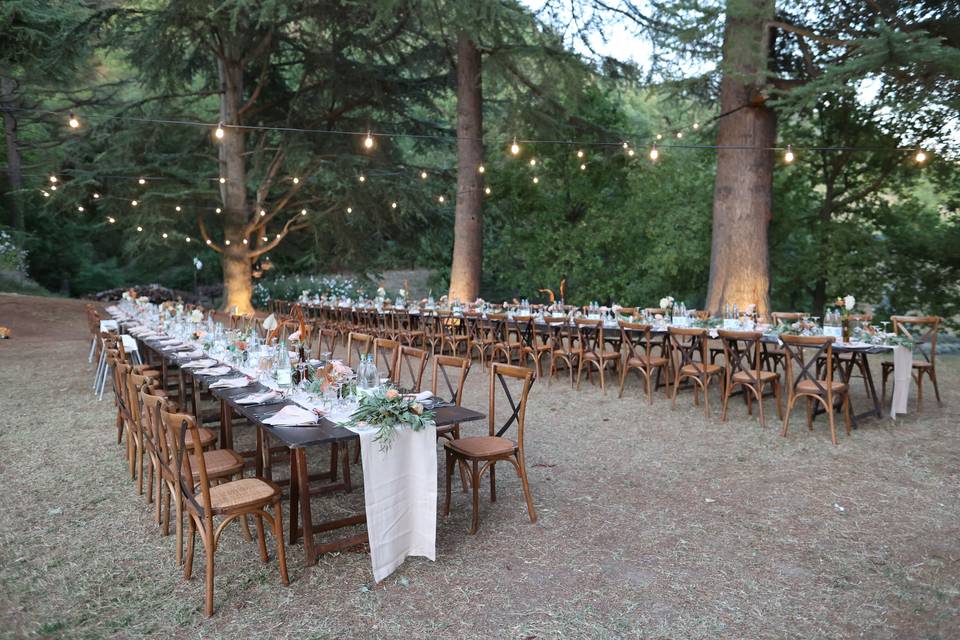 Wedding in the woods