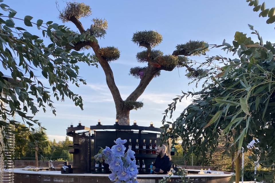 Martina & Claudio Wedding