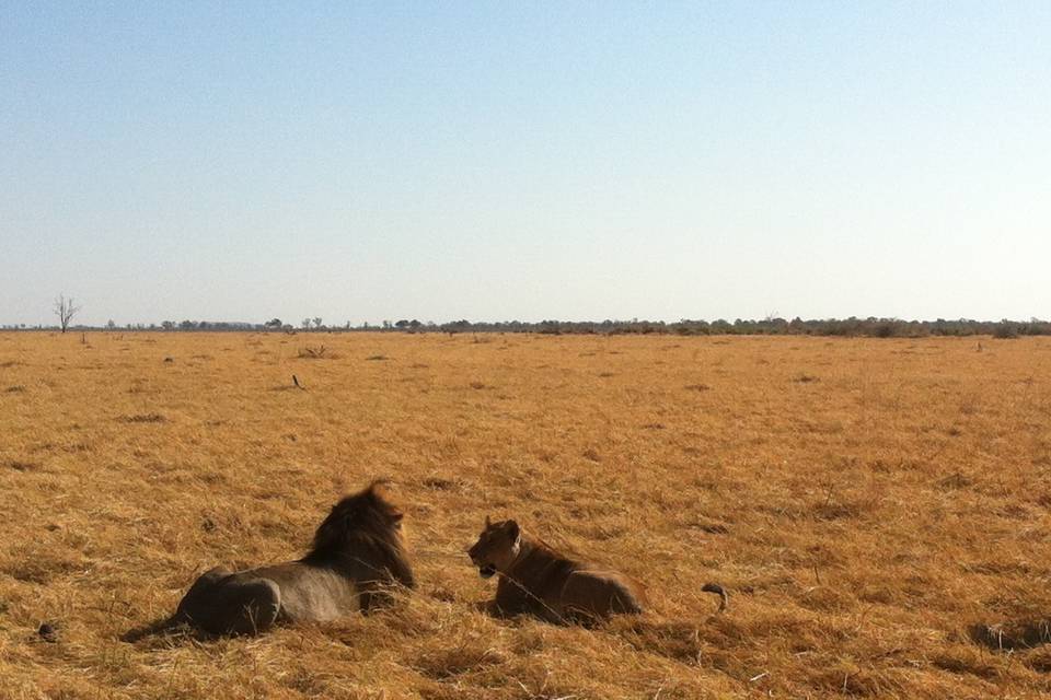 Botswana