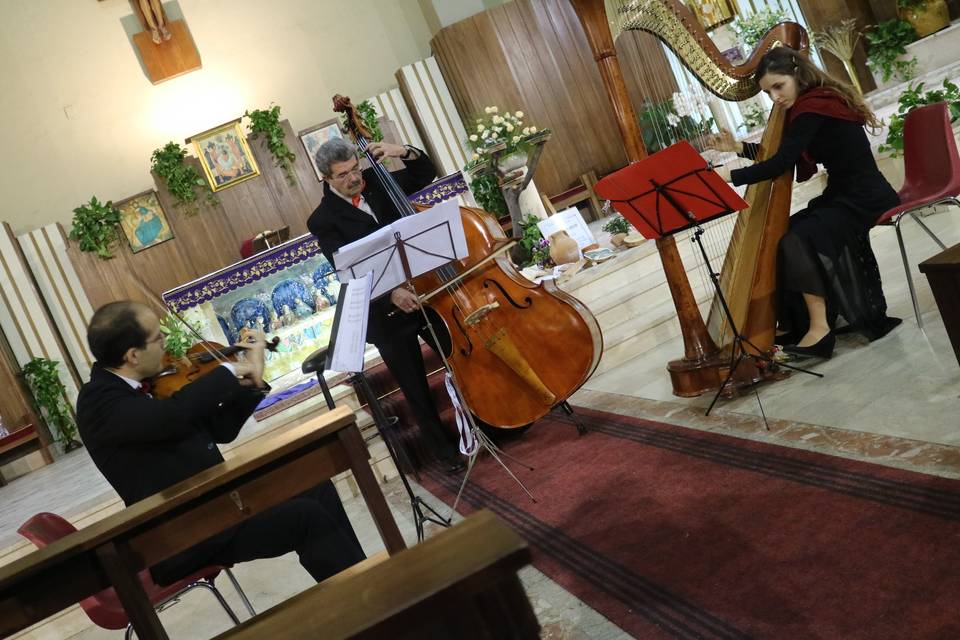 Trio Orchidea Musicale