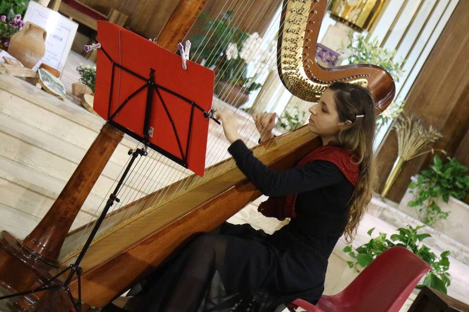 Arpa - Marialuisa