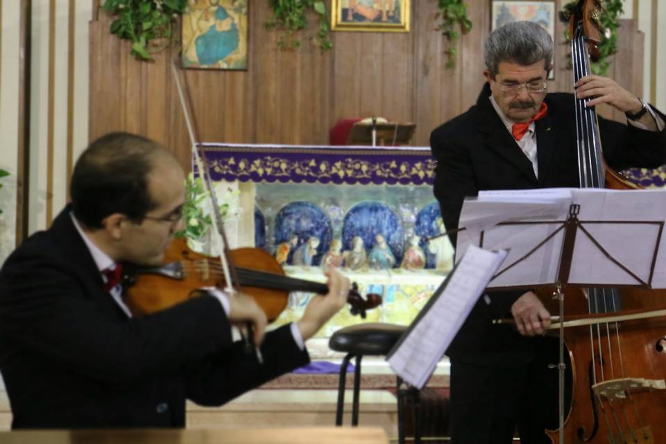Violino e contrabbasso
