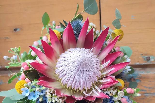 I Fiori di Cristina