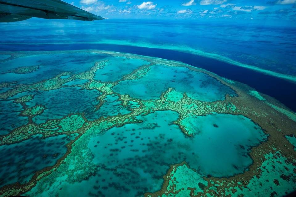 Grande Barriera -QLD Australia