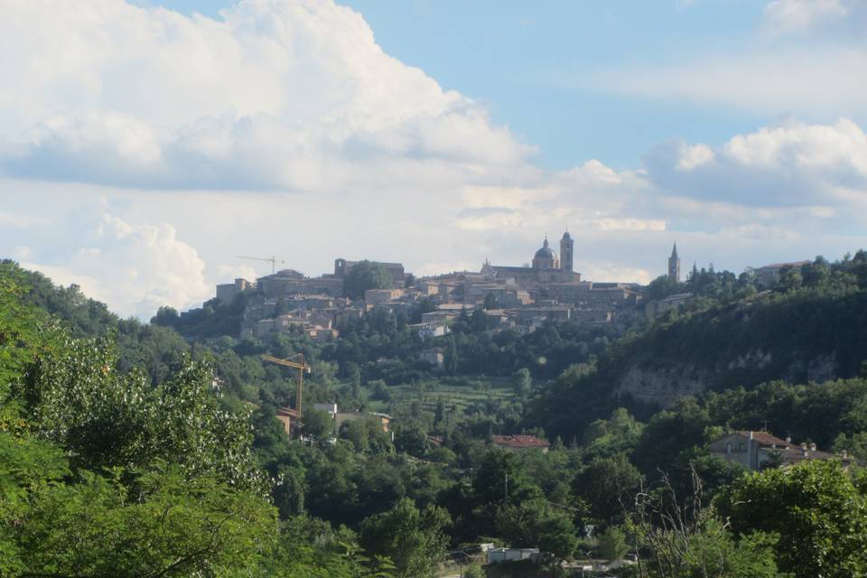 Vista di Urbino