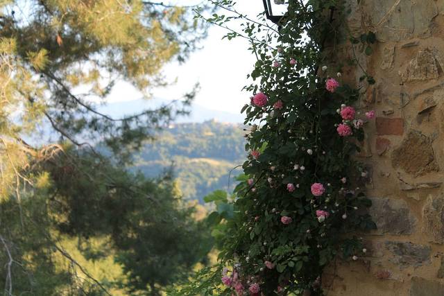 Agriturismo Podere Costarella