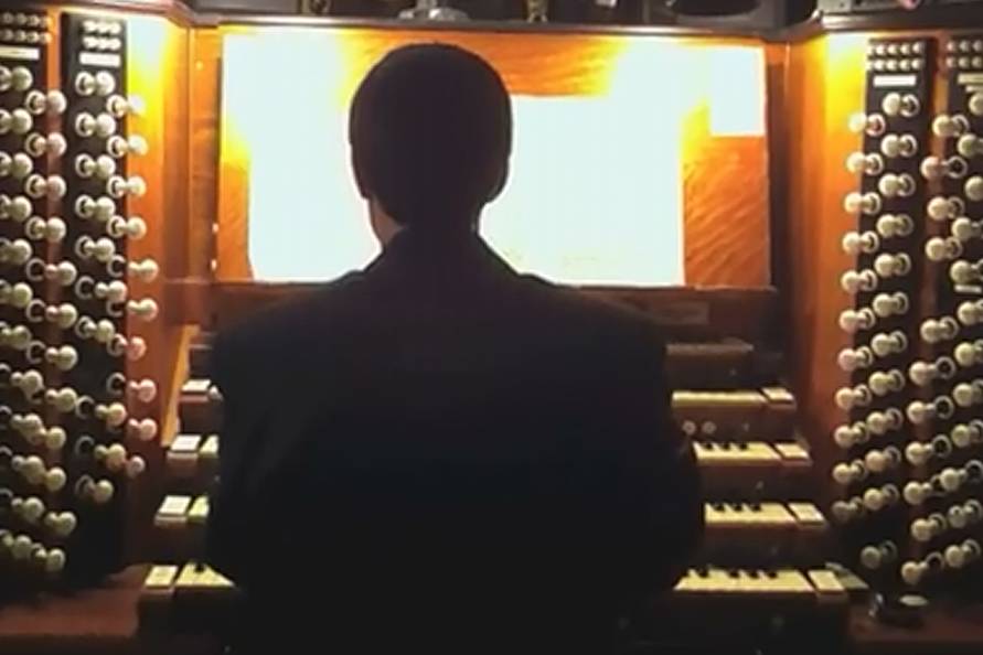Daniele Organista e Pianista