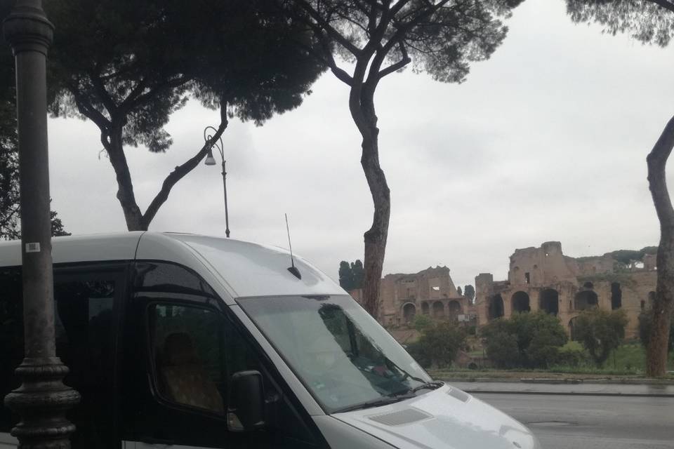 Roma