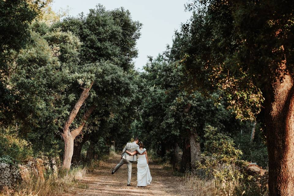 Passeggiando nel bosco