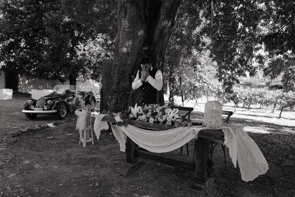Un matrimonio in vigna