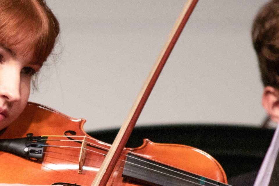 Violinista Genova