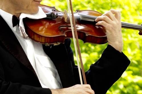 Violinista Genova