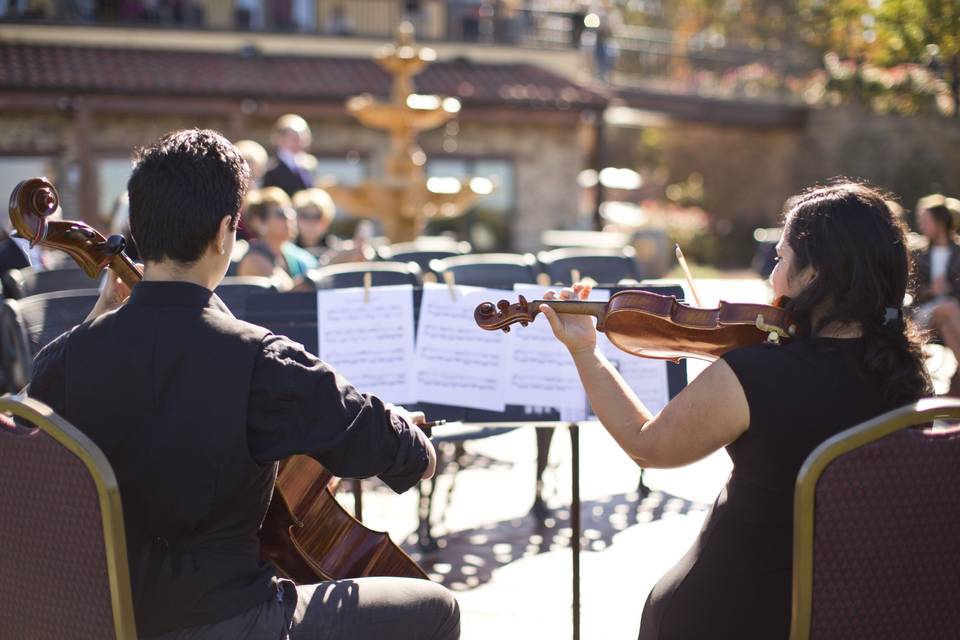 Violinista Genova