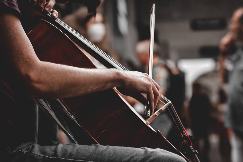 Violinista Genova