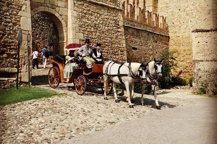 Noleggio carrozze - Asd Benpensata