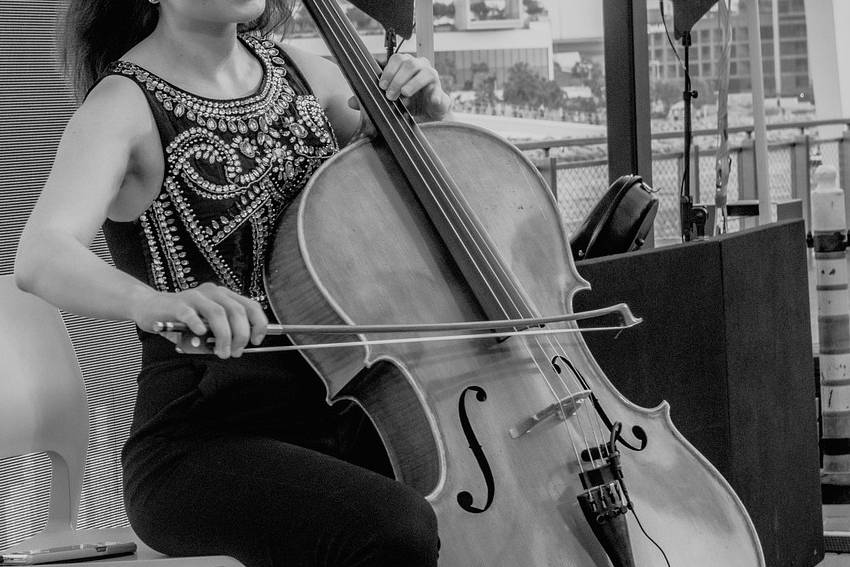 Violinista Genova