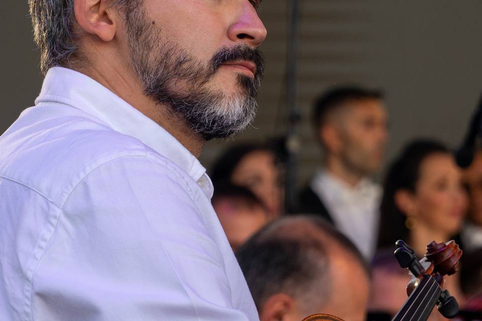 Violinista Genova