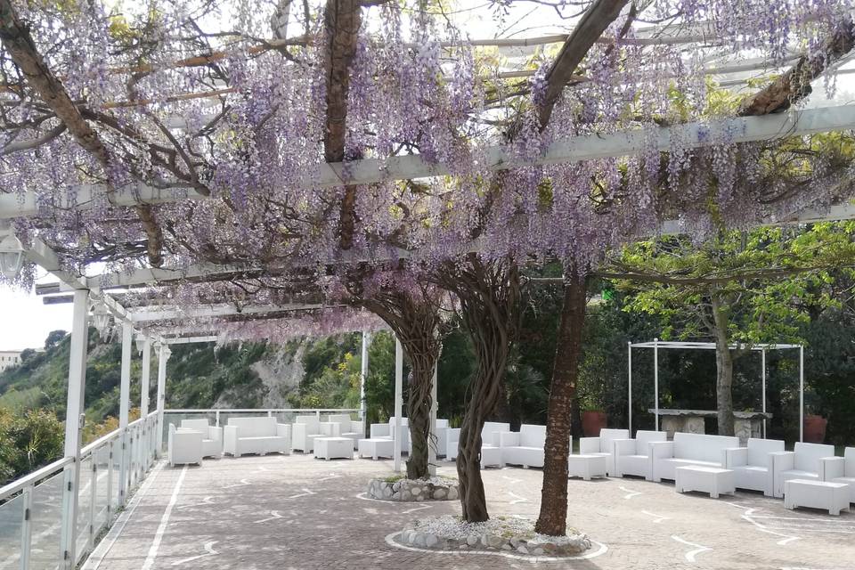 La terrazza