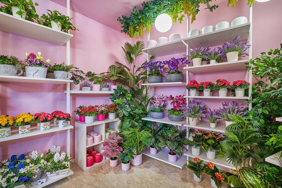 Showroom