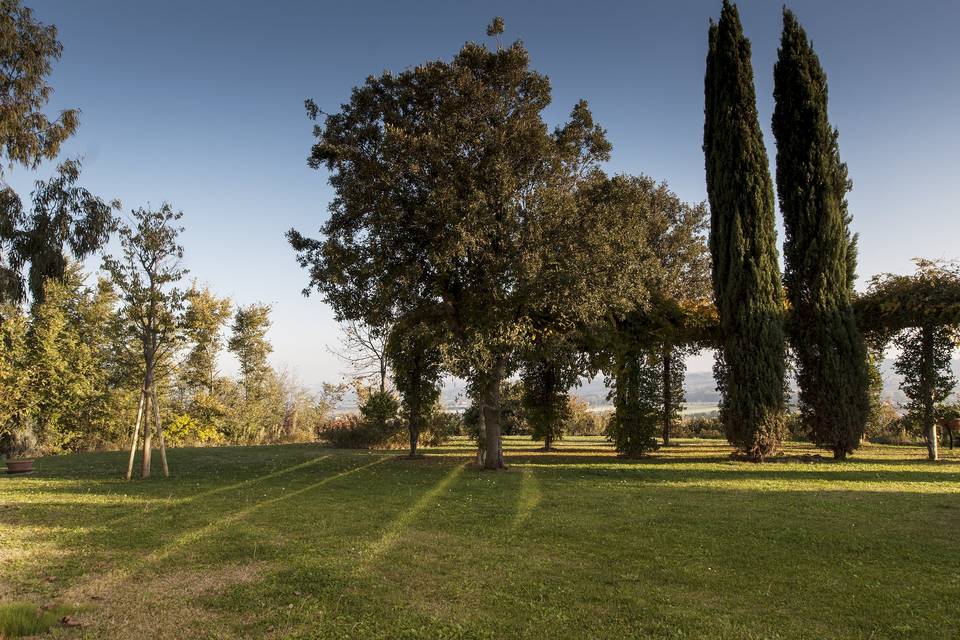 Vista giardino