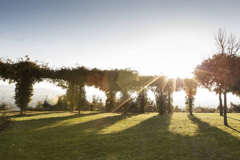 Vista giardino 3