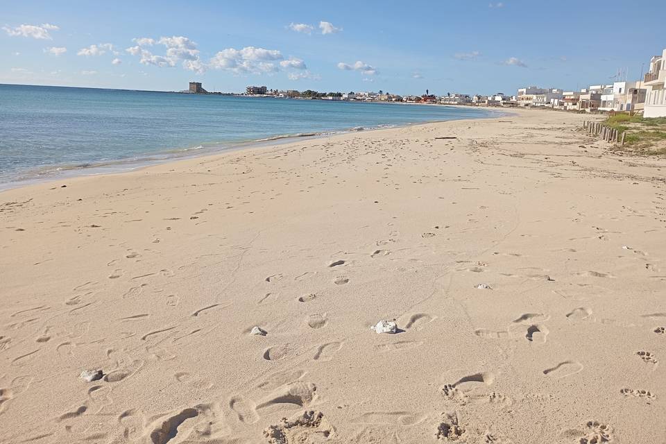 La spiaggia