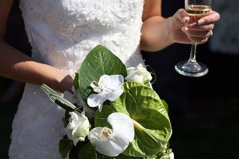 Matrimonio indianoNuvole rosa