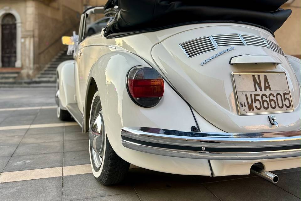 Beetle