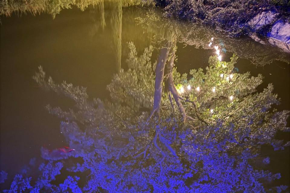 Riflessi sull'acqua