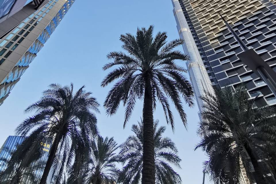 Dubai