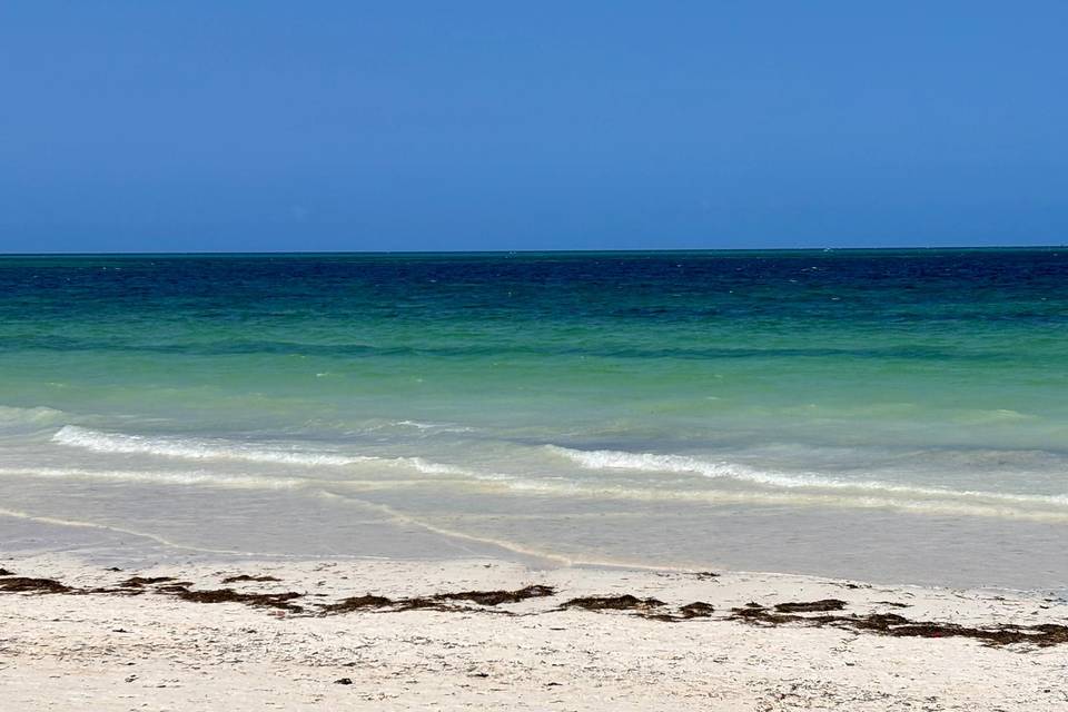 Zanzibar