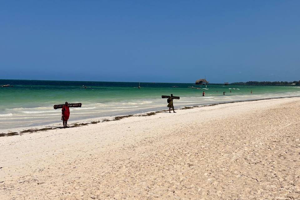 Zanzibar