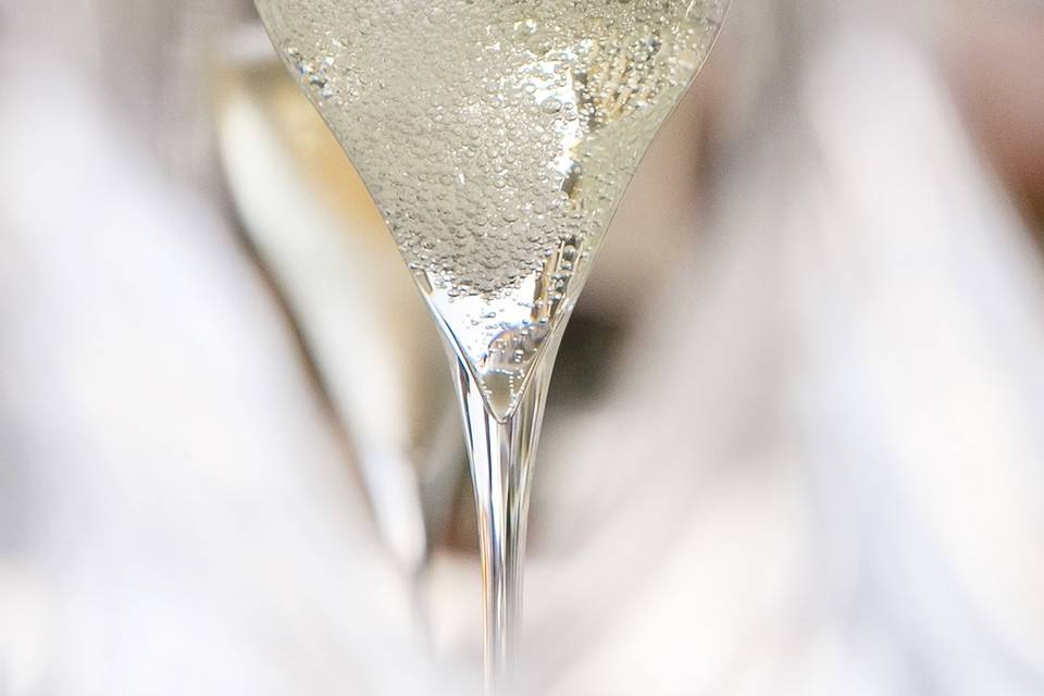 Bollicine