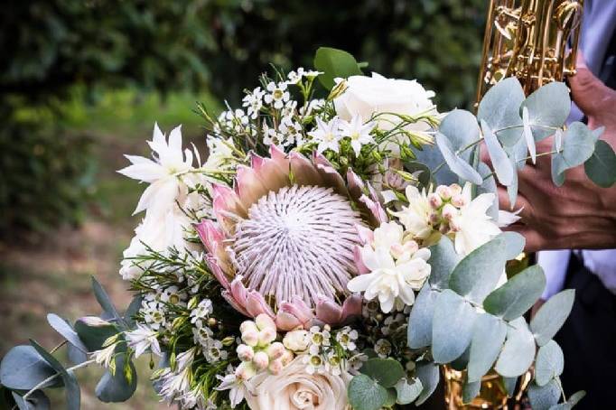 Bouquet scomposto con protea