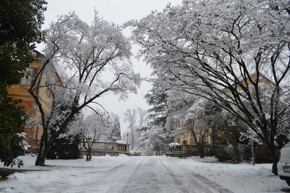 Winter Wedding